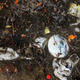 Illustration for article titled Shocking Photos from the Water Sports Site of the Rio Olympics